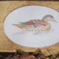 On the Pond Cross Stitch Pattern of Ducks by Nanci
