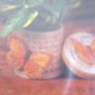 Plastic Canvas Pretty Plant Pot Covers II Annie's Attic 7 Designs