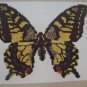 Birds and Animals in Cross-Stitch 42 different designs