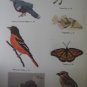 Birds and Animals in Cross-Stitch 42 different designs
