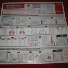 2002 Transformers Armada Action Figure: Smokescreen Instruction Booklet-  foldout insert