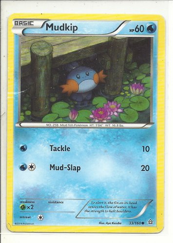 Pk 813 14 Pokemon Card 33 160 Mudkip