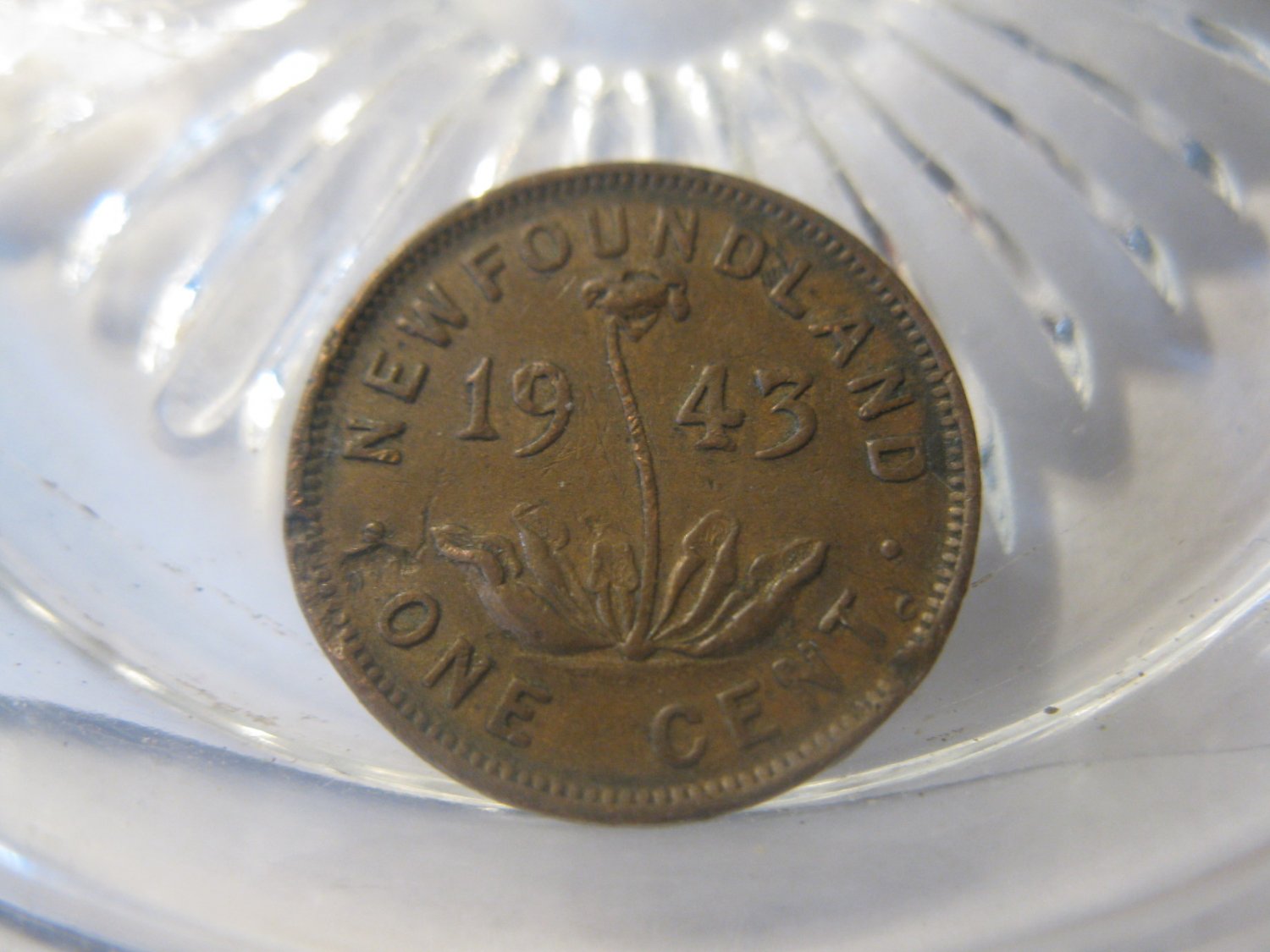 (FC-1394) 1943 Newfoundland: 1 Cent { only 1,239,732 minted }