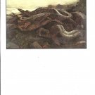 Charles Detmold: The Jungle Book - Kaa the Python - 11.75" x 8.75" Book Page Print