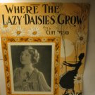 Antique Sheet Music: 1924 Where the Lazy Daisies Grow - Cliff Friend , Nancy Fair ( cover page only)