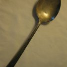 WM Rogers Brookwood Banbury Pattern large 9" Silver Plated Serving Spoon