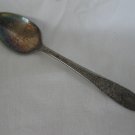National Silver 1937 Rose & Leaf Pattern Silver Plated 6" Teaspoon #2