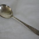 National Silver 1937 Rose & Leaf Pattern Silver Plated 7" Soup Spoon