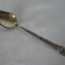 Rogers Bros. 1847 First Love Pattern 6" Silver Plated Fruit Spoon #1