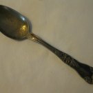 Wallingford Co. 1902 Floral variant Pattern Silver Plated 6" Tea Spoon