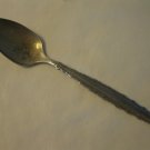 Community 1973 Royal Lace Pattern Silver Plated 6" Tea Spoon