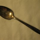 W.M. Rogers MFG.co. 1955 Modern Precious Pattern 6" Silver Plated Tea Spoon