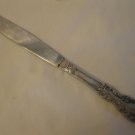 W.M. Rogers MFG. Co. 1959 Grand Elegance Pattern Silver Plated 8.5" Dinner Knife #1