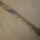 W.M. Rogers MFG. Co. 1959 Grand Elegance Pattern Silver Plated 8.5" Dinner Knife #2