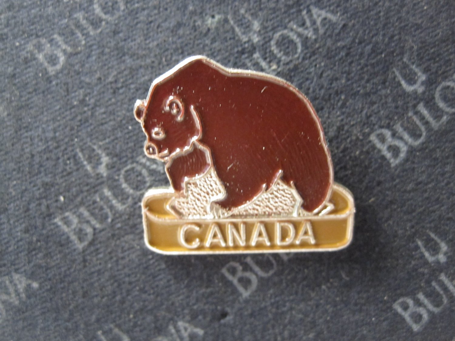 vintage enamel Lapel Pin: Canada Grizzly Bear - rare