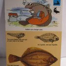 1978 Walt Disney's Fun & Facts Flashcard #DFF12-22: Moray and Conger Eels