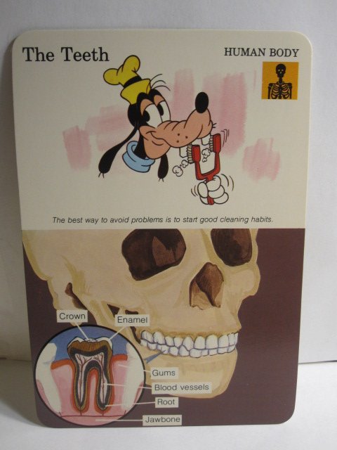 1978 Walt Disney's Fun & Facts Flashcard #DFF4-19: The Teeth