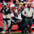 AJ Green Autographed 8x10 Vertical Catching Photo- JSA W Authenticated