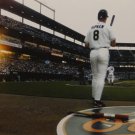 Cal Ripken Jr Autographed 16x20 Field View *Silver Photo- JSA W Authenticated