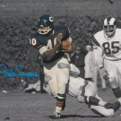 Gale Sayers Autographed 16x20 B/W & Color Running Photo- JSA W Authenticated