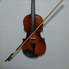 Student Acoustic Violin Full 4/4 Maple Spruce with Case Bow Rosin Wood Color