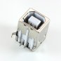 USB Type B Female Connector (2 Pack)