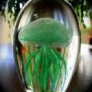 Glowing Emerald Glass Jellyfish