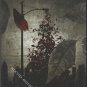 KATATONIA - Last Fair Day Gone Night - 2DVDs in Digipak