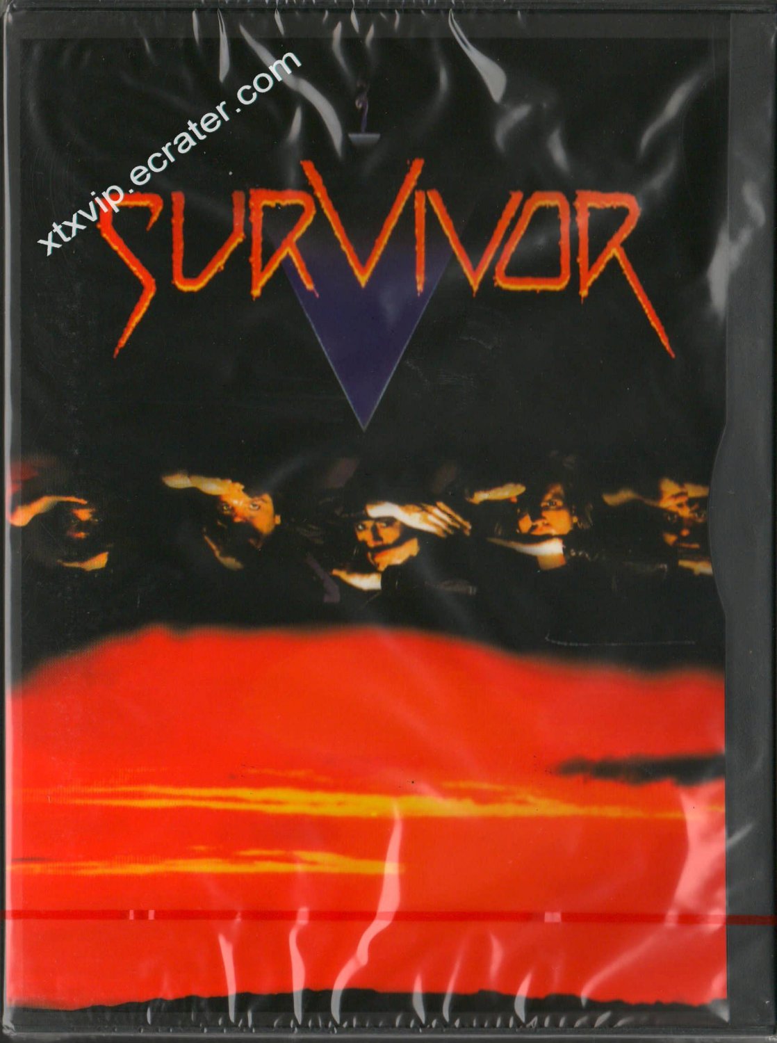 SURVIVOR - Video - DVD