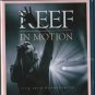 Reef: In Motion - Live from Hammersmith - Blu-Ray