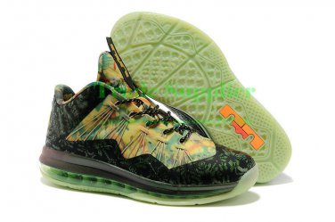 Lebron x Low Championship Sneaker