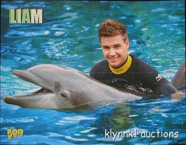 Liam Payne One Direction - 3 POSTERS Centerfold Lot 3092A Selena Gomez on back