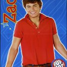 Zac Efron 3 POSTERS Magazine Centerfolds Collectible Lot 2619A Aly & AJ on back