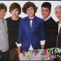 One Direction Niall Horan Harry 3 POSTERS Centerfolds Lot 3068A Big Time Rush
