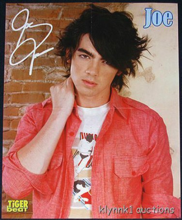 Joe Jonas 2 Posters Centerfold Lot 1510A Selena Gomez on back