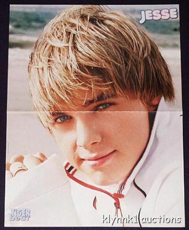 Jesse McCartney Poster Centerfold Collectible 425A Simple Plan on back