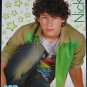 Nick Jonas 2 Posters Centerfolds Lot 679A  Vanessa - Zac Efron Zanessa on back