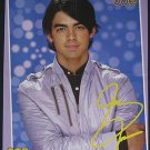 Joe Jonas Brothers Nick - 2 Posters Centerfold Lot 1726A Demi Lovato on back