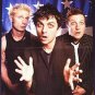 Green Day Billie Joe Poster Magazine Centerfold 189A Mario on the back