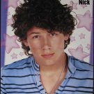 Nick Jonas Brothers - 2 POSTERS Centerfolds Lot 2862A Zac Efron on back