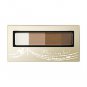 Shiseido Integrate Beauty Trick Eyebrow BR631 highlight