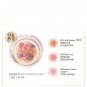 Kanebo Coffret D'or 10th Anniversary Smile Up Cheeks N