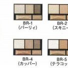 Kanebo Kate Brown Shade Eyes N eyeshadow