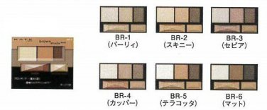 Kanebo Kate Brown Shade Eyes N eyeshadow