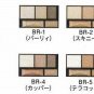 Kanebo Kate Brown Shade Eyes N eyeshadow