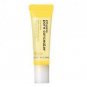 Shiseido Ettusais Mineral Pore Concealer 17g