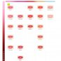 Sofina Aube Essence Lip Color lipstick RS402 sealed in box