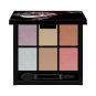 Kanebo Kate Balancing Color Palette EX-2 limited edition