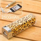 2500mAh Power Charger Battery Bank for iPhone 4/4S, Various Cell Phones and Digital Devices