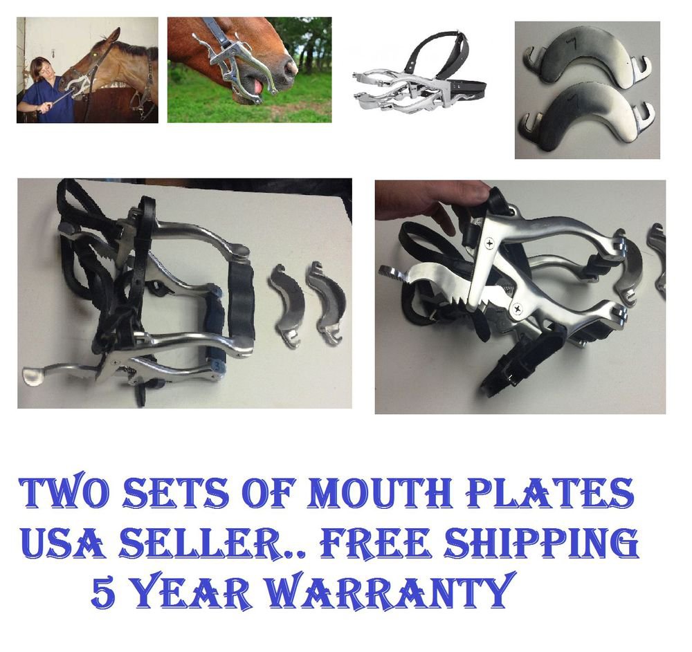 Equine Dental Speculum Hand Crafted Japanese Stainless Steel USA